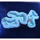 Lobophyllia sp. Green