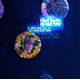 Porites sp. (Bordeaux) (frag)