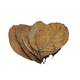 Nature4Pets Jack leaves 20pcs 12-19cm Nature4Pets Jack leaves 20pcs 12-19cm