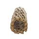 Hobby Vuka Stick M - 16x5.5x5.5cm Hobby Vuka Stick M - 16x5.5x5.5cm