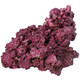 Real Reef Rock Real Reef Rock