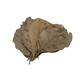 Nature4Pets Teak Leaves 10pcs 15-20x25-45cm